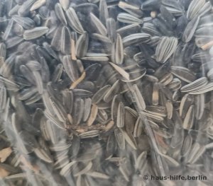 Sonnenblumenkerne als Vogelfutter - 10 kg