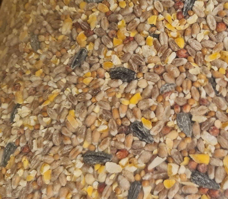 Vogelmischfutter - 10 kg