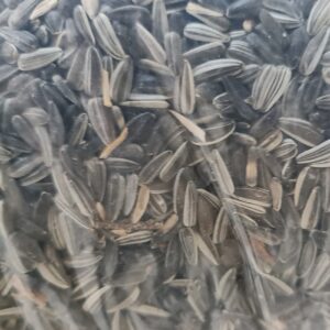 Sonnenblumenkerne als Vogelfutter