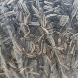 Sonnenblumenkerne als Vogelfutter - 25 kg
